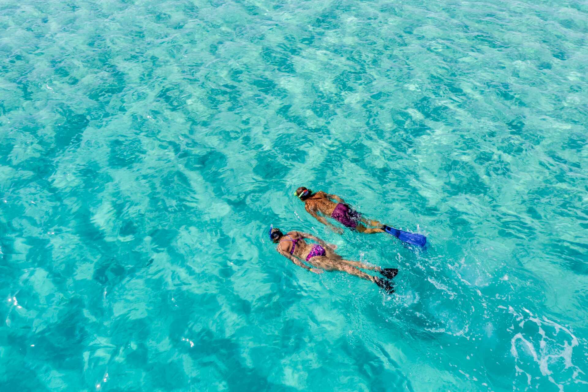 Snorkling i Röda havet