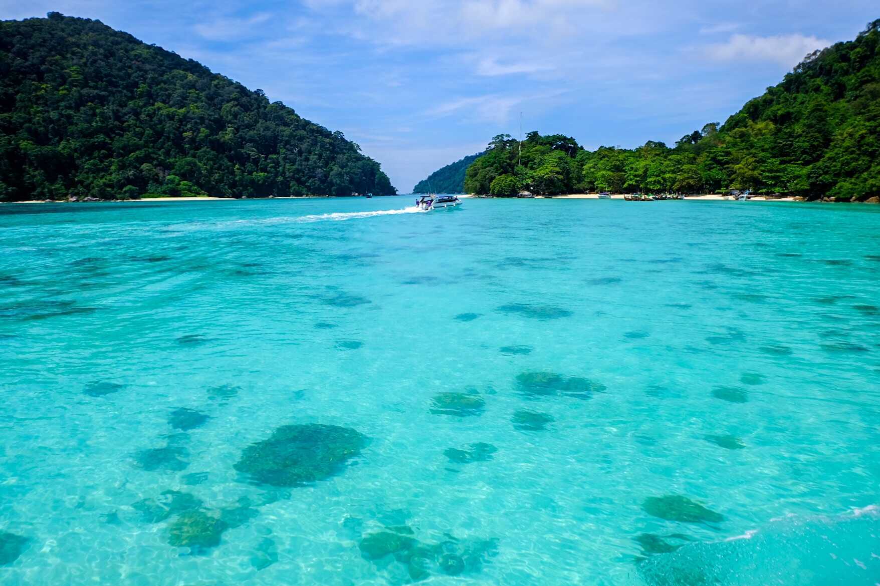 Snorkling på Surin Islands