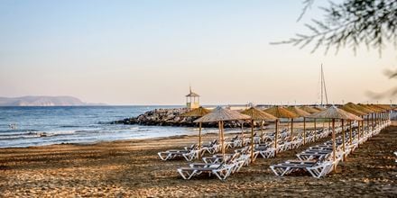 Stranden vid hotell Marina Beach i Gouves, Kreta.