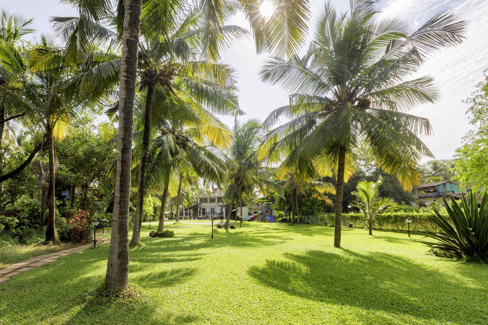 Trädgård på hotell Sonesta Inns i Goa, Indien.