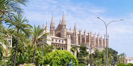 Katedralen La Seu i Palma, Mallorca.