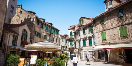 Veckan avslutas i Split. Här möter en guide upp för en stadsvandring.