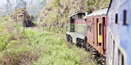 Tåget passerar genom Hikkaduwa och tar dig ut i det fantastiska landskapet.