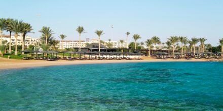 Stranden vid hotell Steigenberger Aqua Magic i Hurghada, Egypten.
