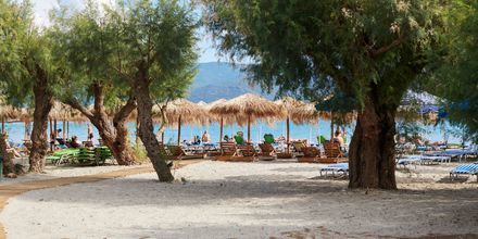 Stranden Psili Ammos i Pythagorion på Samos, Grekland.