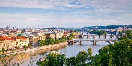 Broarna över floden Moldau i Prag, Tjeckien.
