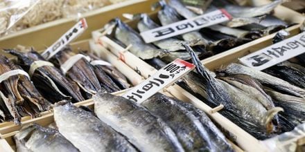 Tokyo Fish Market i Tokyo, Japan, en populär sevärdhet.