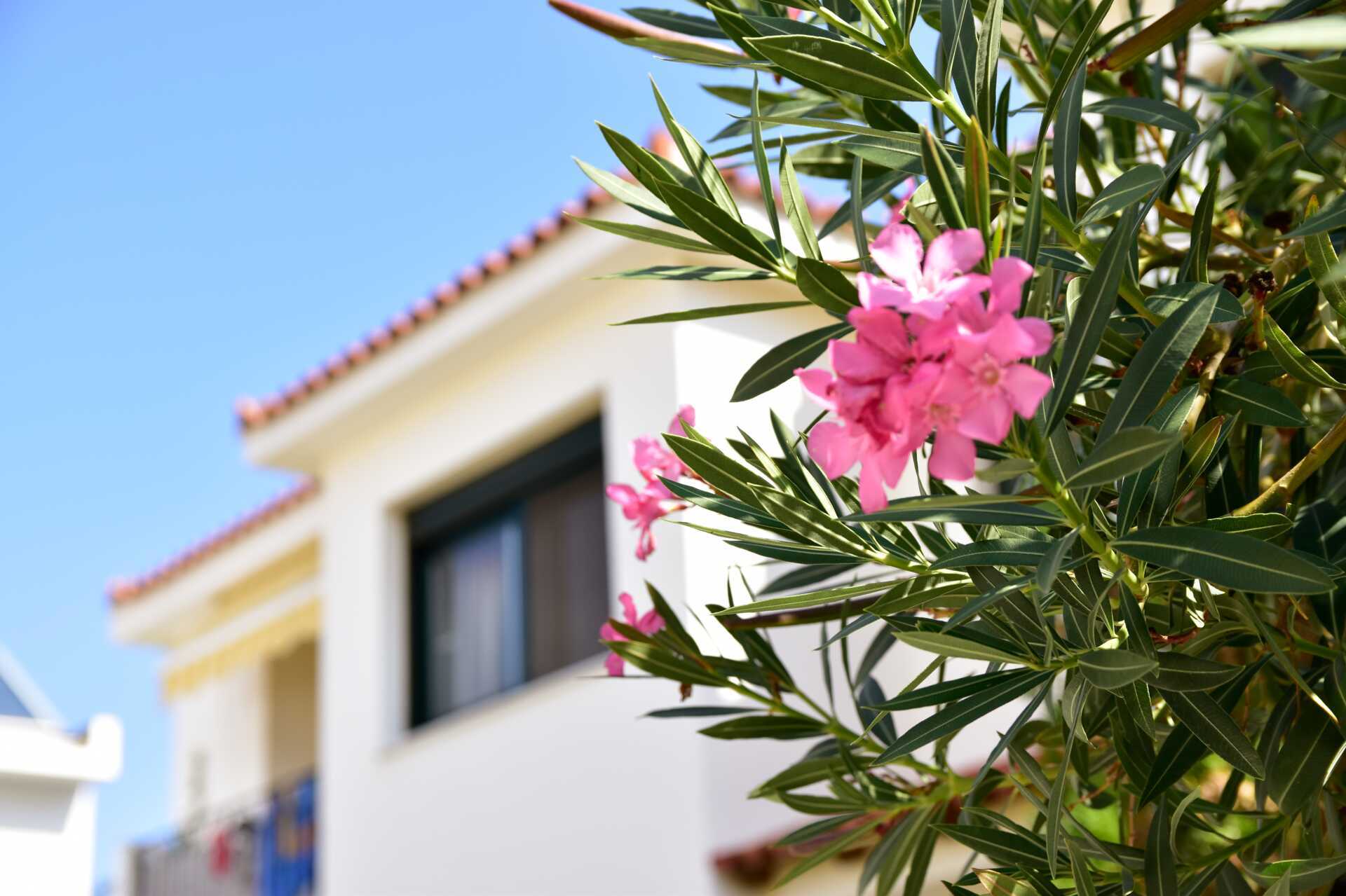 Hotell Topaz i Kokkari på Samos, Grekland.
