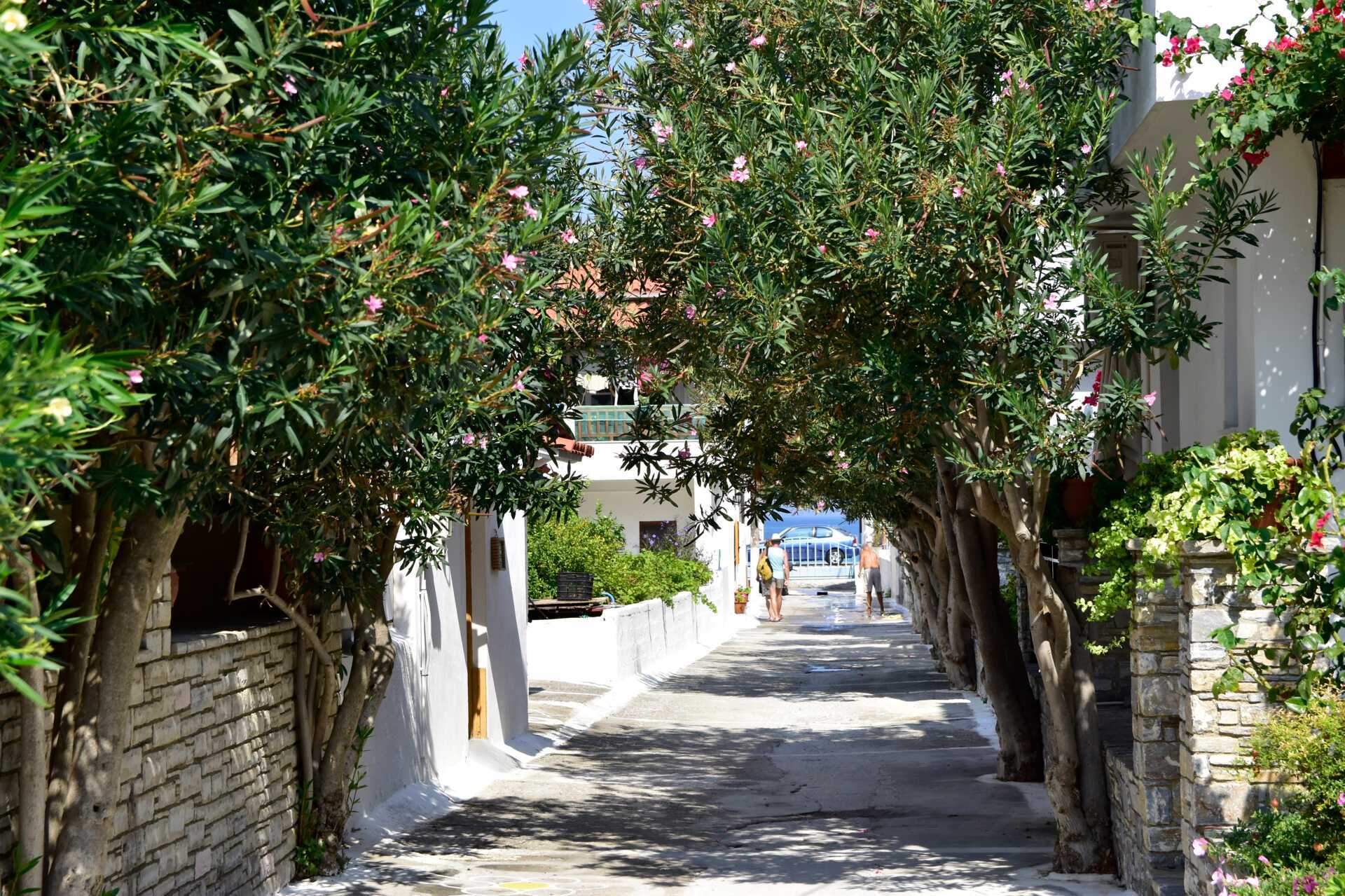 Hotell Topaz i Kokkari på Samos, Grekland.