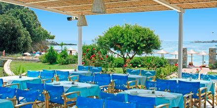 Restaurang på hotell Troulos Bay på Skiathos, Grekland.