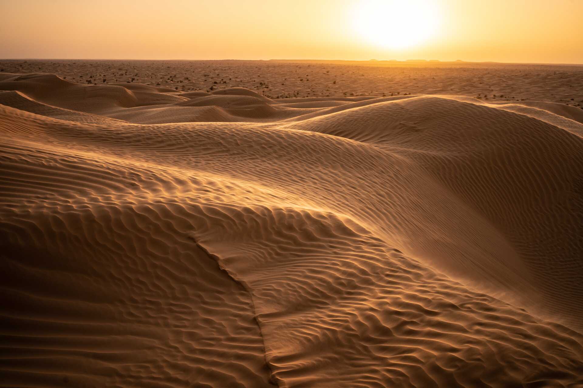 Tvådagarstur till Sahara