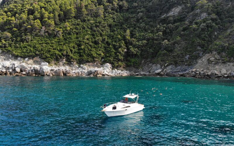 Upptäck Skopelos från havet