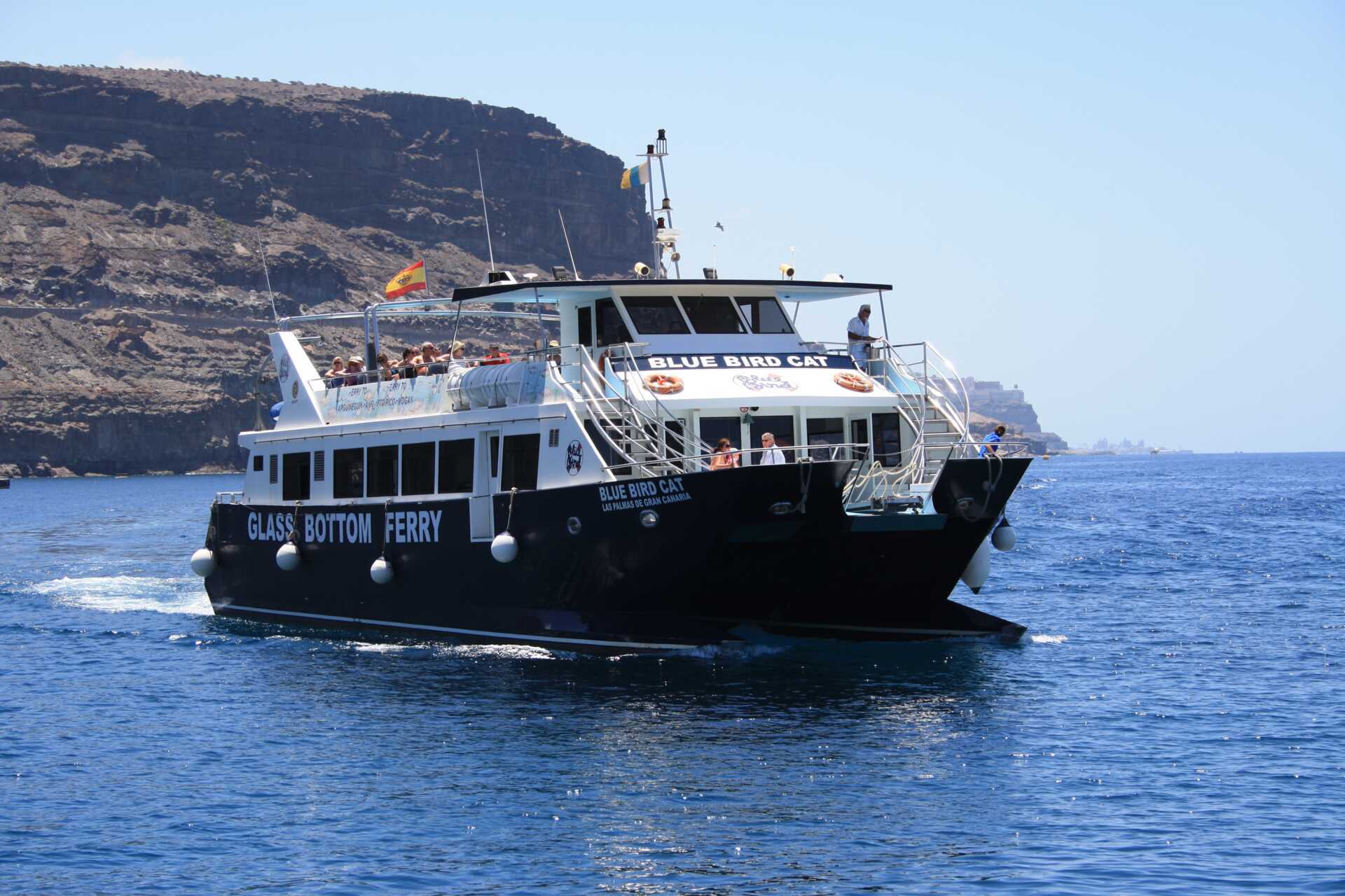 Val- och delfinsafari (6 jan-9 feb 2025)