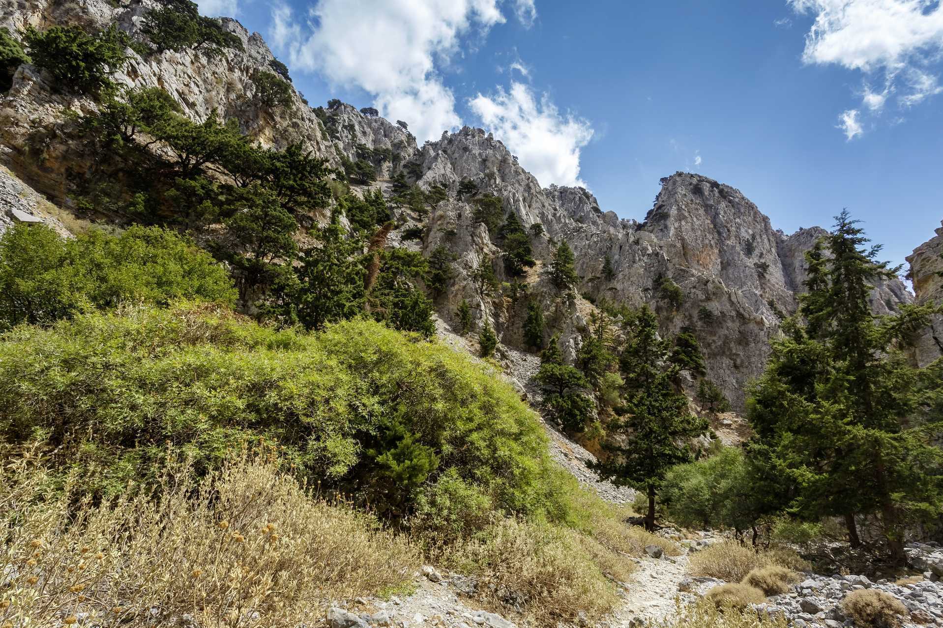 Vandra genom Imbrosravinen