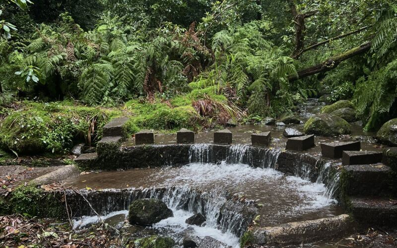 Vandring – Levada do Rei – 10,5 km