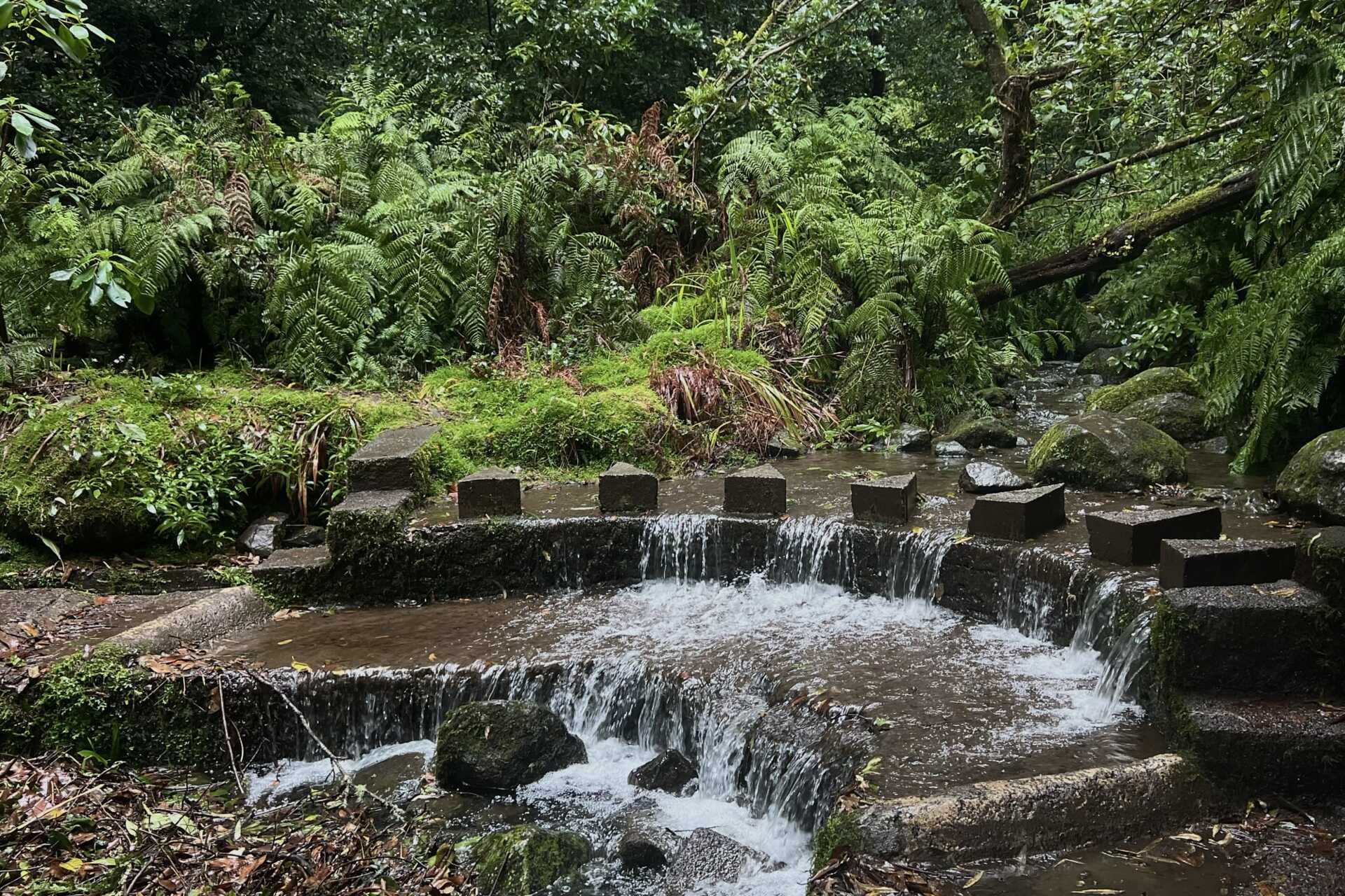 Vandring – Levada do Rei – 10,5 km