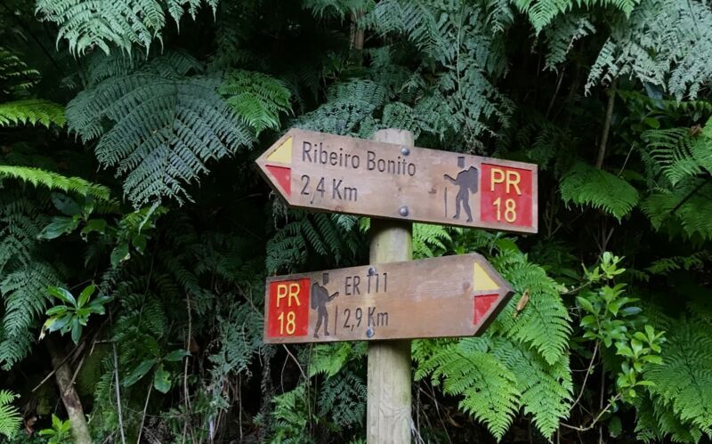 Vandring – Levada do Rei – 10,5 km
