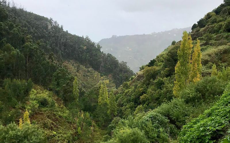 Vandring – Serra D'Agua, 5 km