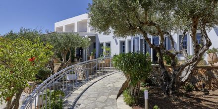 Hotell Vasia Ormos i Agios Nikolaos på Kreta, Grekland.