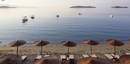 Stranden vid hotell Kassandra Bay i Vasilias på Skiathos.