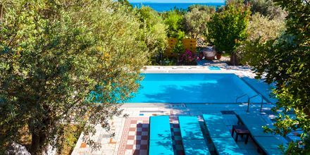 Pool på hotell Villa Eleonas i Votsalakia på Samos, Grekland.