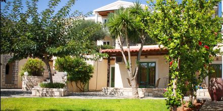 Villa Vicky i utkanten av Hersonissos, Kreta.