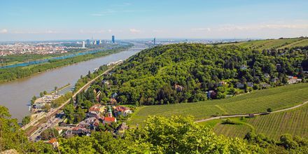 I närheten till Wien finns elva bra vandringsleder. Här, från Leopoldsberg, har man fantastisk utsikt över staden.